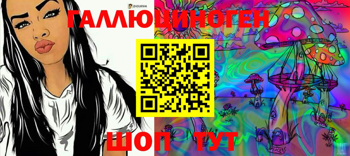 Галлюциногенные грибы Psilocybe Тутаев