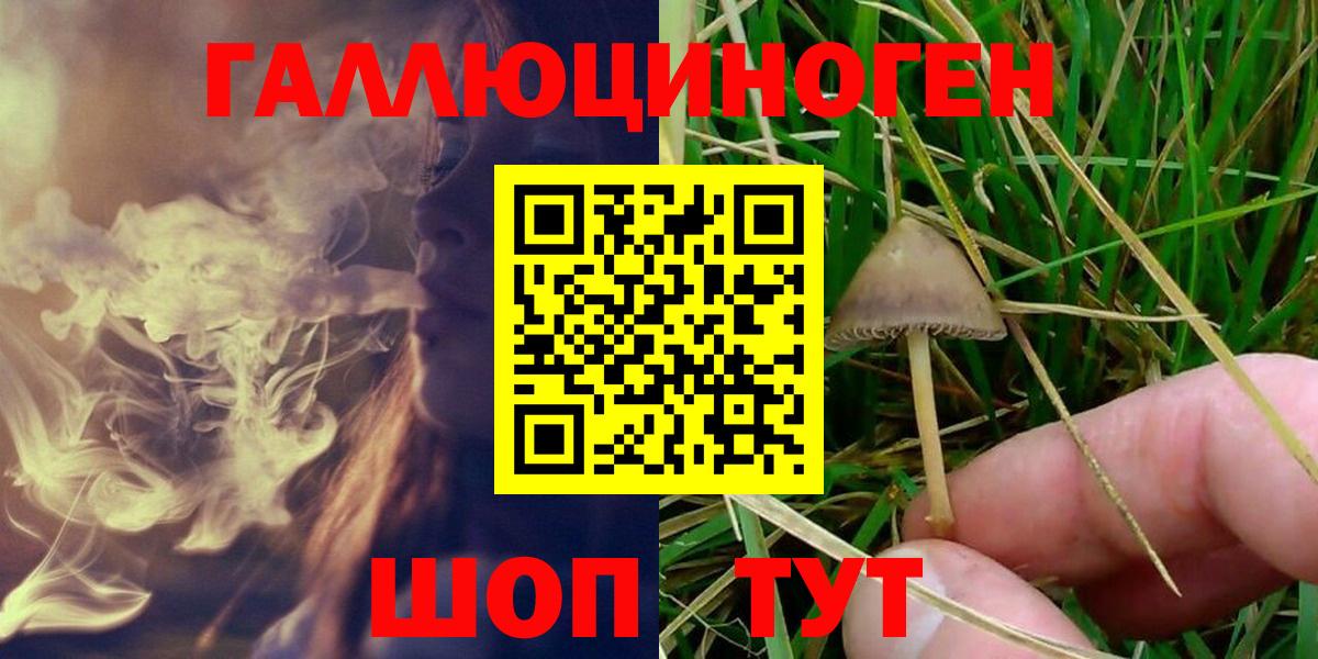Псилоцибиновые грибы мицелий  Вход с VPN  Тутаев 