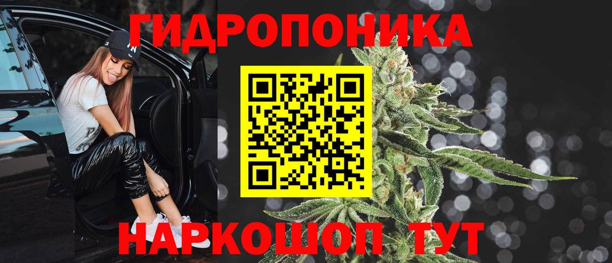 Каннабис планчик  Каннабис Ganja  Тутаев  Канабис THC 21%  Вход с VPN  Бошки марихуана индика 